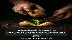 30 مه؛ 9 خرداد روز جهانی سیب‌زمینی